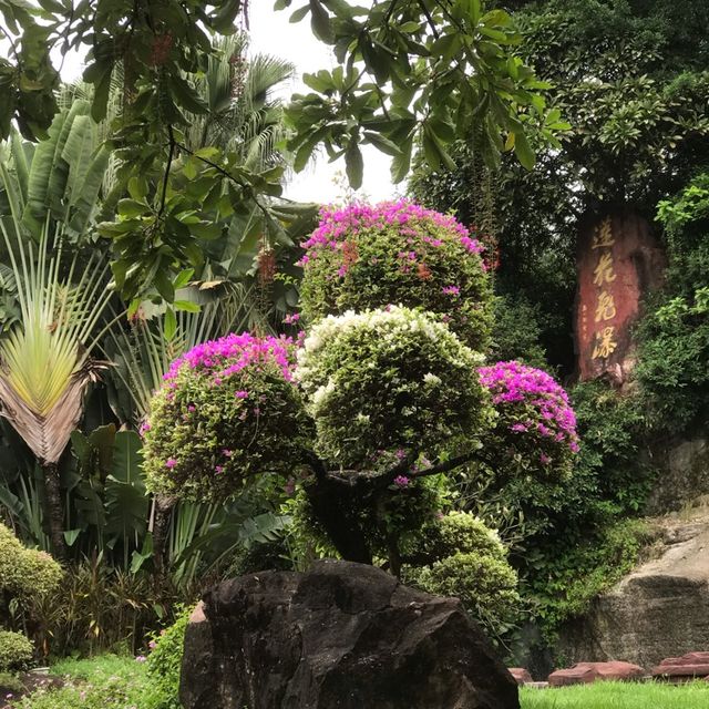 The Gardens of Panyu