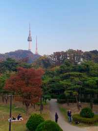 首爾🍁南山白凡公園｜秋天必到景點🍂｜照顧心靈健康