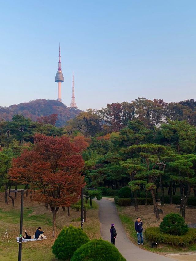 首爾🍁南山白凡公園｜秋天必到景點🍂｜照顧心靈健康