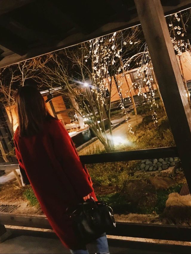 忙しい人必見！！日帰りでも満喫できる貸し切り温泉🥺♨️【箱根】