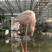 鳥と花を間近で鑑賞！