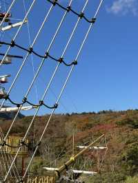 Dont miss this Pirate Sightseeing Cruise!