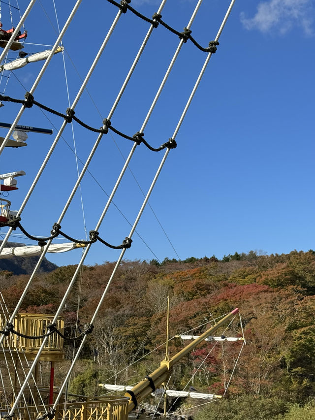 Dont miss this Pirate Sightseeing Cruise!