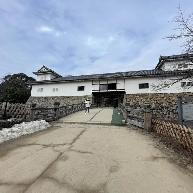 彥根城