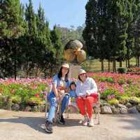 Beautiful Chiang Mai Botanic Garden