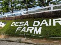 DESA DAIRY FARM