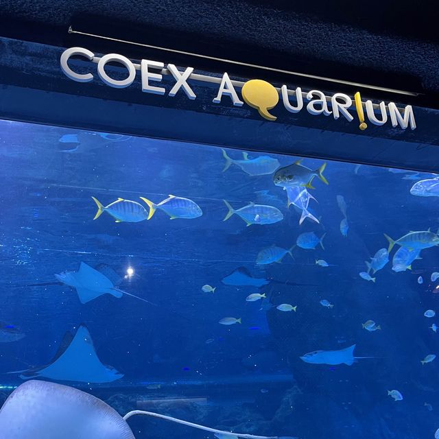 테마가 다양한 코엑스 아쿠아리움🐠🫧