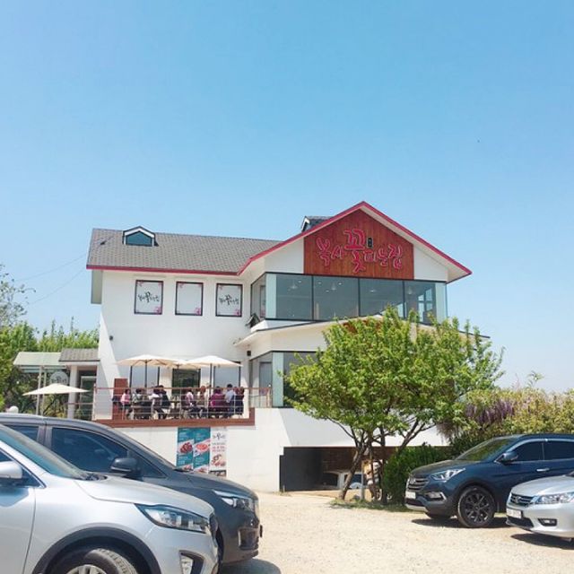 주말 나들이 겸 산책하고 커피까지 완벽코스 복사꽃피는집🌺