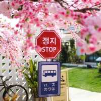 ภูผาม่าน ริเวอร์ฮิลล์