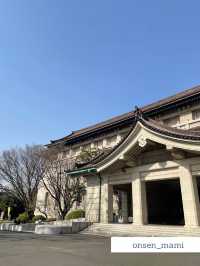 【東京 上野】桜の時期におすすめ🌸上野公園お散歩👣