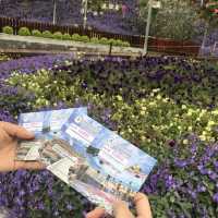 Flora Park: flowers paradise 🤩