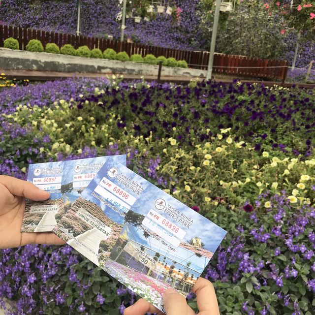 Flora Park: flowers paradise 🤩