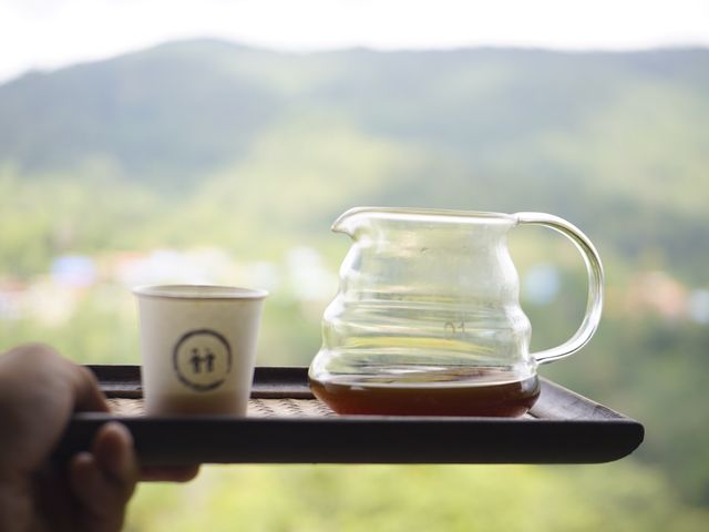 กาแฟ ภูเขา และตัวเรา ณ ปัว น่าน⛰️🌿🌱☘️🍃