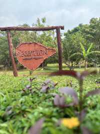 Angkor Forest Resort- Mondulkiri ⛰️🌳🪵🛖🏡🍲