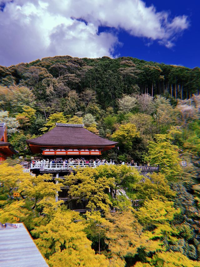 Kiyomizu Temple