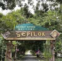 Sepilok Nature Resort @ Sandakan