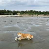 新月沙灘 🏖️ 在竹北