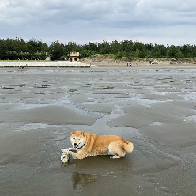 新月沙灘 🏖️ 在竹北