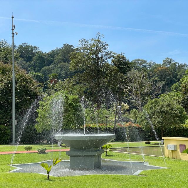 Penang Botanical Garden - a treasure for all