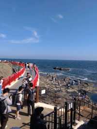 【神奈川】江ノ島岩屋周辺の絶景スポット