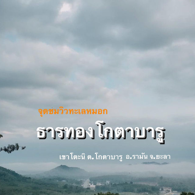 จุดชมวิวทะเลหมอก ธารทอง| KOTABARU🌿🍃