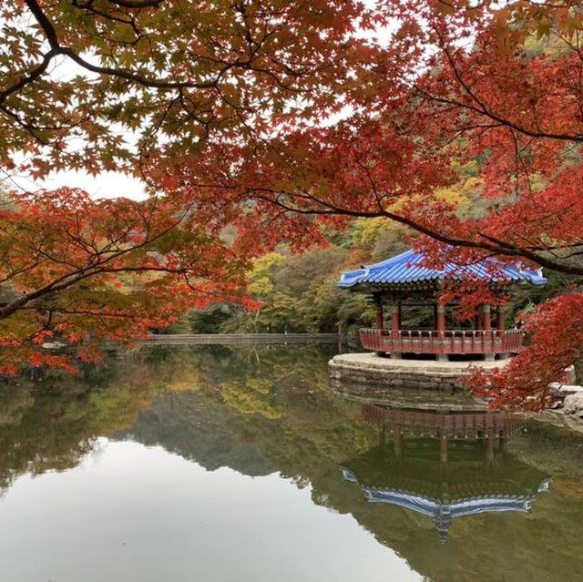 가을 단풍 여행의 명소, 내장사