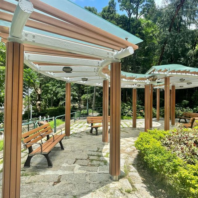 🌈隱世後花園-中葵涌公園