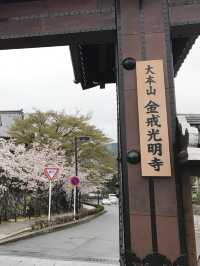 【京都】こんな大仏見たことない！アフロ大仏をご紹介