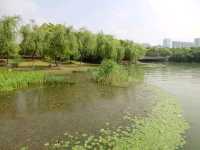 無錫蠡湖公園🏞結合傳統園林與歐式公園風格