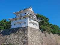 ปราสาทโอซาก้า (Osaka Castle)