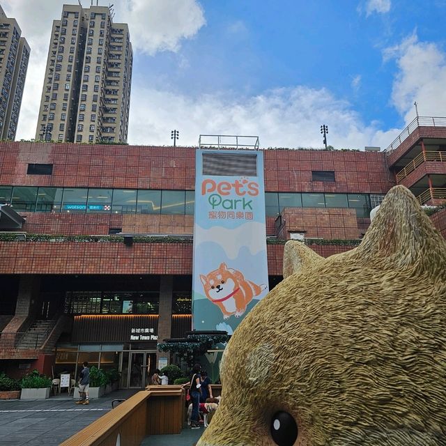 帶毛孩放電購物好地方🐶🦮🐕‍🦺🐕🐩