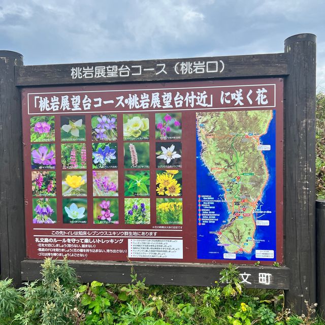 【北海道】礼文島を訪れたら楽しみたいハイキング