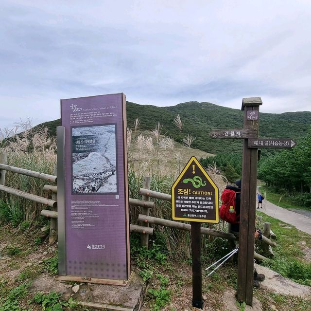 가을의 시작 억새보러가자