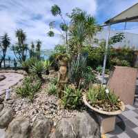 Cactus Garden at Changi Airport T1