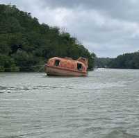 Discover half day Mangrove Tour in Desaru 