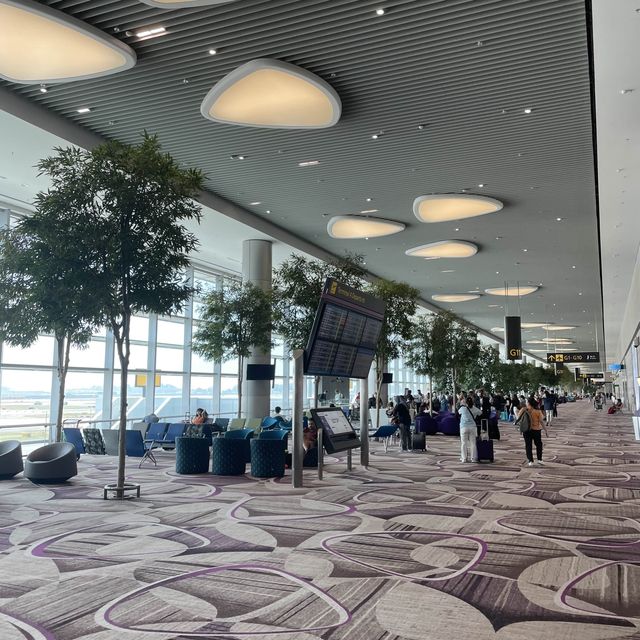 Changi Airport Terminal 4