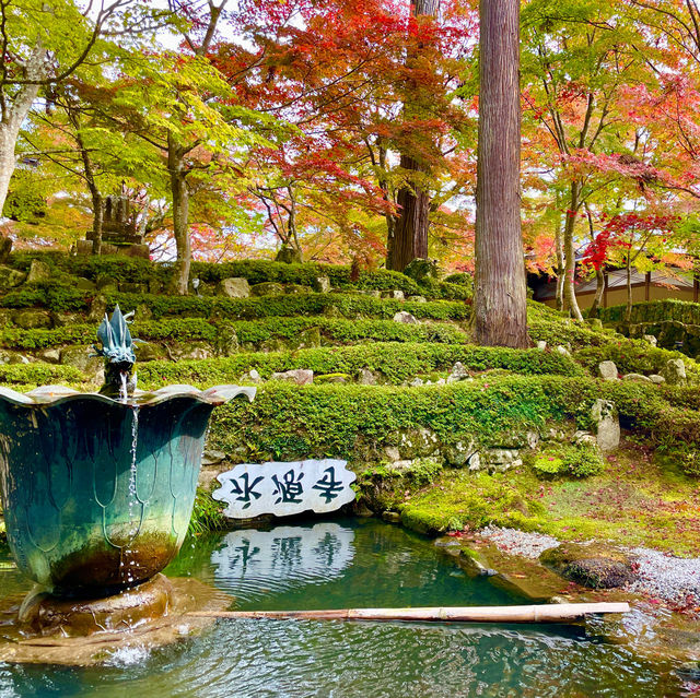 Autumn Splendor at Eigen-ji Temple