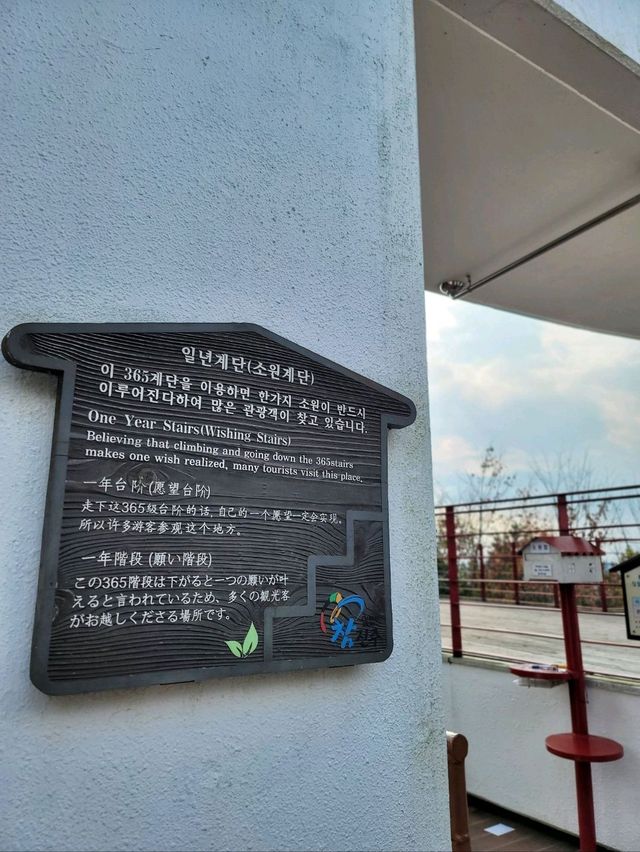 진양호 소원계단 걸으며 소원 빌어보기🙏