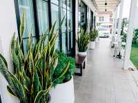 ไปพักผ่อนกันที่ Blu Monkey Hub & Hotel Ranong 