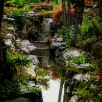 【京都北區】等持院：方位神信仰的重要寺院，陰陽道思想的庭園和茶室