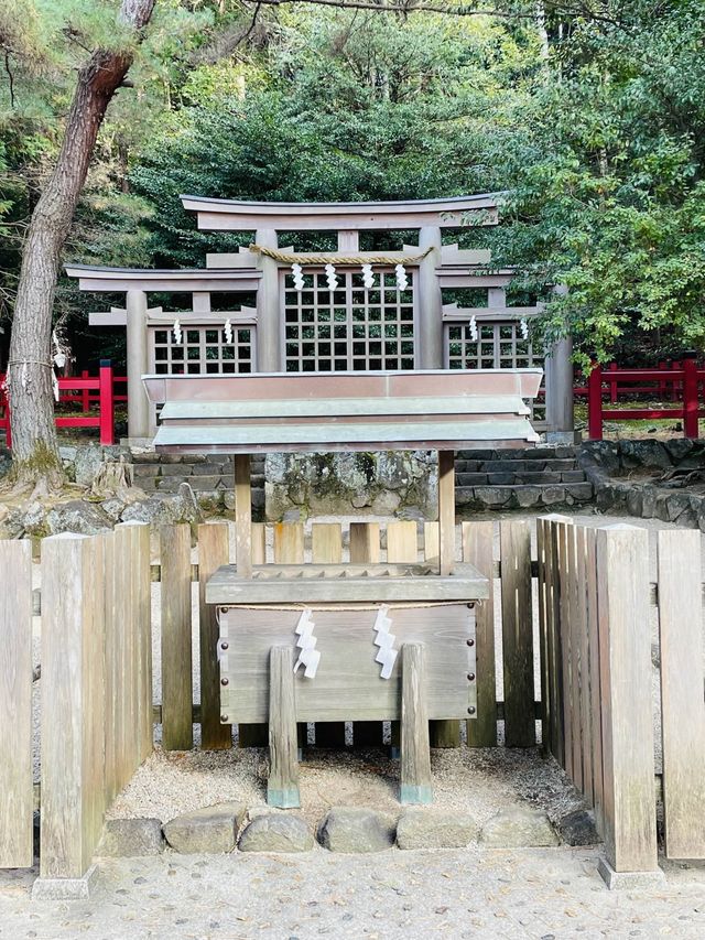 【奈良県/檜原神社】2023年行ってよかった！奈良県の神社④