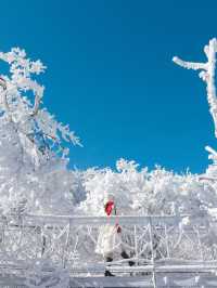 새하얀 눈꽃의 천국 발왕산 상고대❄️