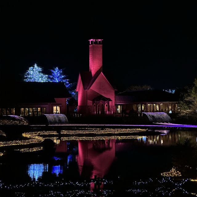 Fairytale Illumination at Nabana
