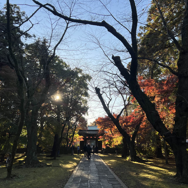 ฤดูกาลใบไม้เปลี่ยนสี🍁