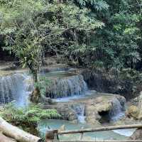 Christmas Magic in Luang Prabang 