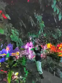겨울 경주에서 만난 영화 아바타속 비밀의 숲🌳