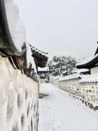 강원도 안 가도 눈꽃 구경 제대로 할 수 있는 서울 숨은 명소❄️