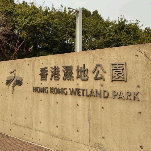 香港紅葉探子來到 - 香港濕地公園！ 🍂((🍁⥎🍁))🍂