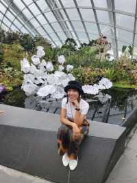 Avatar themed Cloud Forest in Singapore