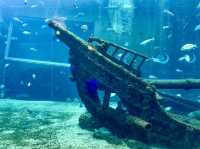 An aquarium in Hakone